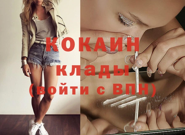 гашик Арсеньев