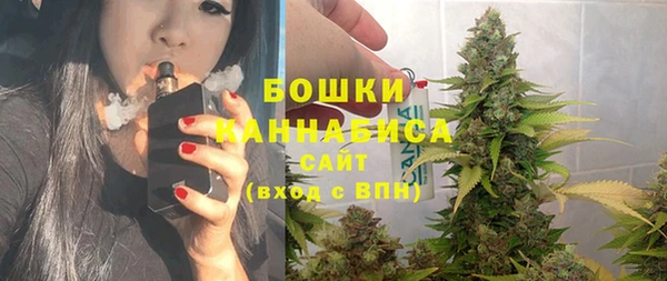 гашик Арсеньев